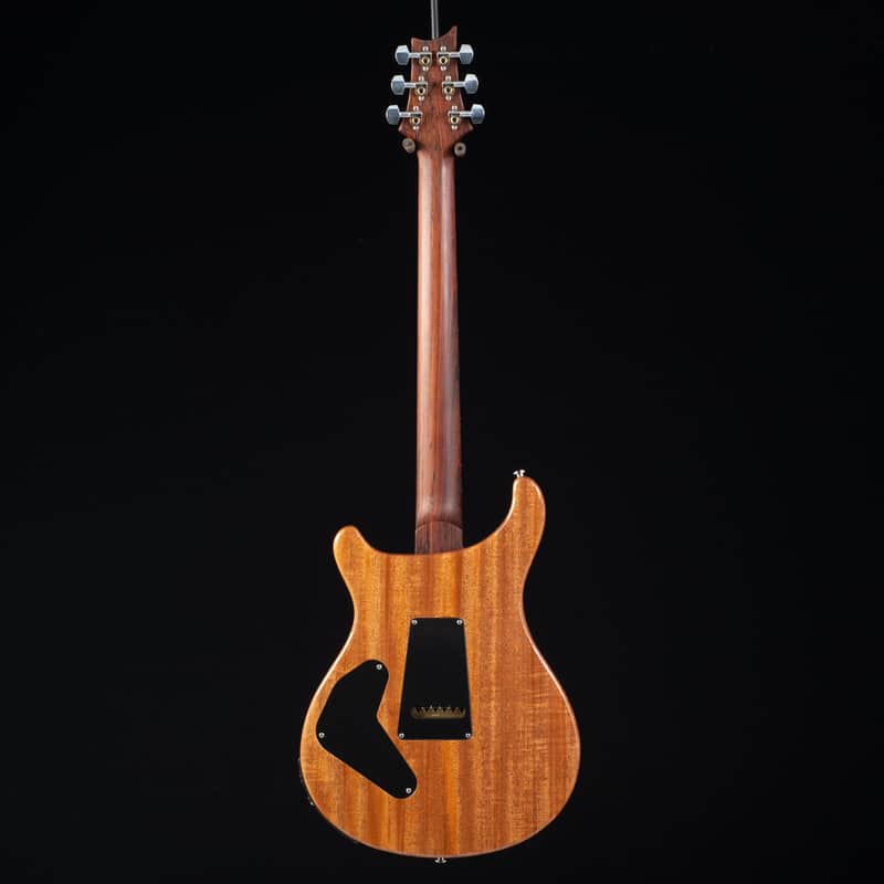 PRS P24 / Custom 24 Piezo Wood Library image 2