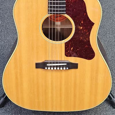 Gibson J-50 1950's image 2