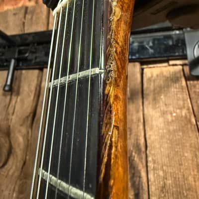 Vintage 1970s D'Agostino Benchmark Guitar image 18