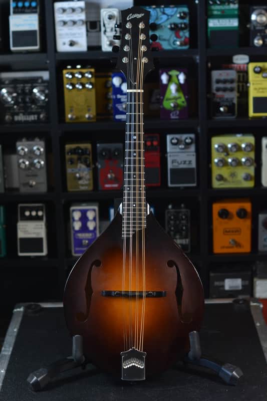 Collings MT Mandolin Left Handed 2014 - Sunburst image 1