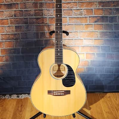 Peavey AGP6 Natural | Reverb