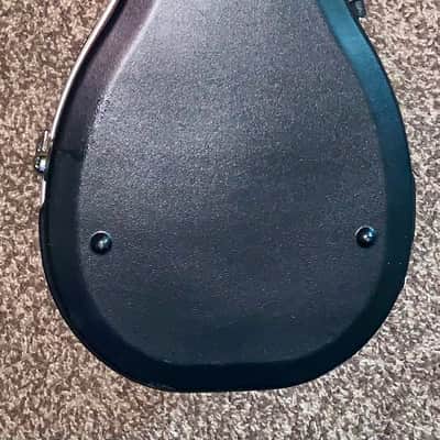Roadrunner abs Molded Mandolin Case image 3