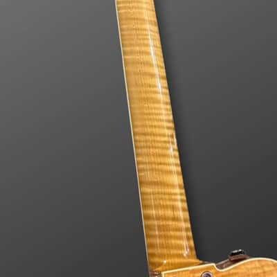 Yanuziello Electric 2021 image 17