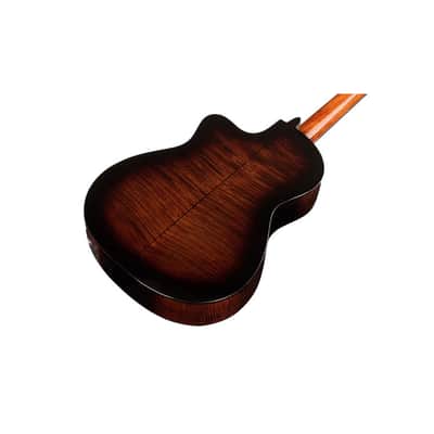Cordoba Fusion 5 Classical with Electronics - Sonata Burst image 4