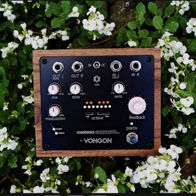 VONGON rosetones Vongon Rosetones | 12-Voice Polyphonic Sympathetic Resonator & Synth Pedal image 1