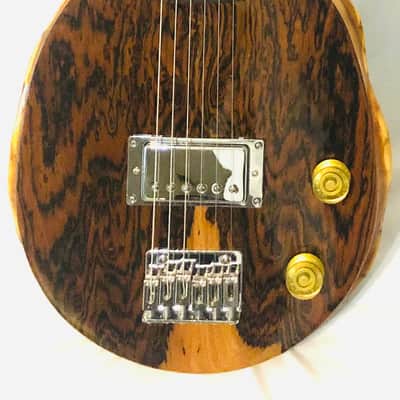 Turtle Shell Electric Guitar image 2
