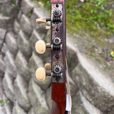 Bruno Parlor, Guitar, Brazilian rosewood, sides and back 1920s image 8