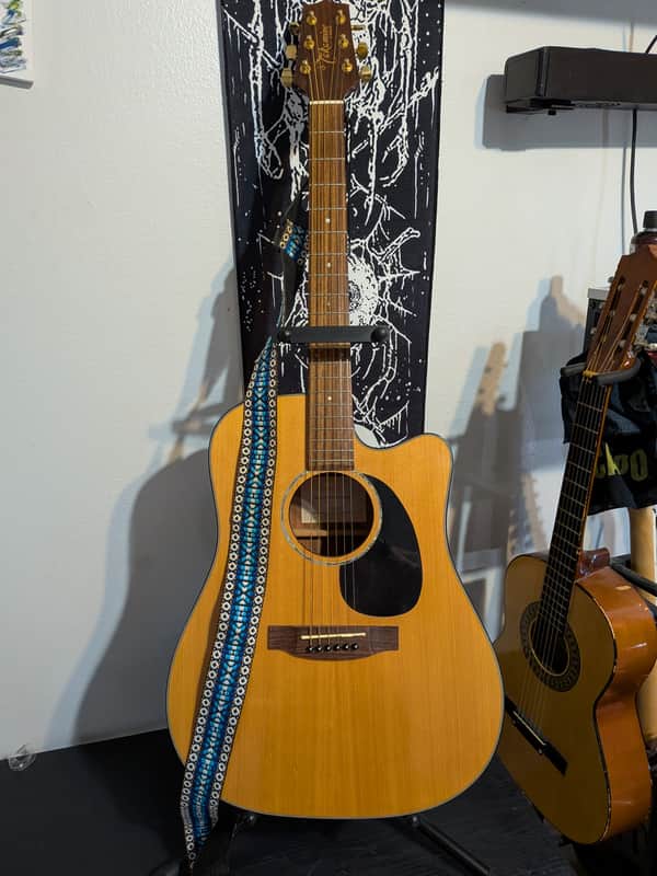Takamine EG340C