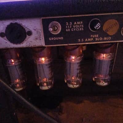 Fender Dual showman reverb 1968 - TFL 500000 (silver face) image 3