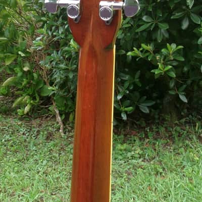 1975 Yairi YW-600 Dreadnought Guitar New Jacaranda Natural+Vintage Hard Case image 10