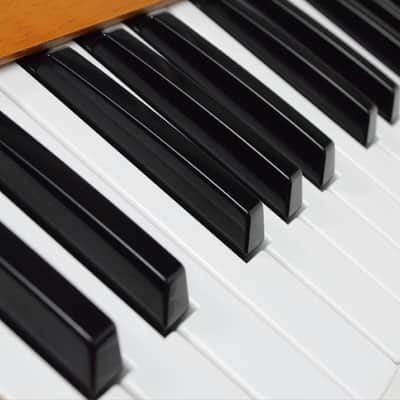 Zen Riffer Z-1.074 MIDI Jet Pro 25-Key Upright Keytar Owned by Maroon 5 #33584 image 23