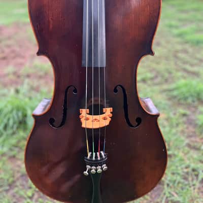 Immagine Giuseppe Petrazzini Cello 1890's Italian Labeled - 2