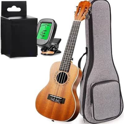 Pair) Schaller banjo 