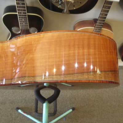 Morgan Concert Custom 2008 image 19