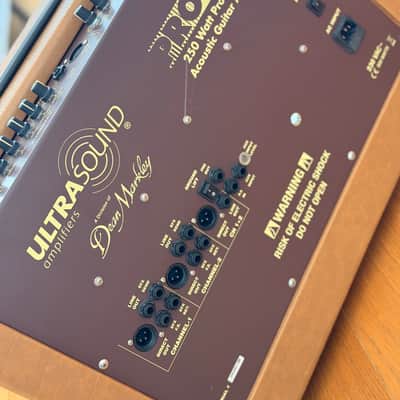 Ultrasound Dean Markley Pro-250 Tri-Amped Acoustic 2000er - Light Brown Tolex image 4