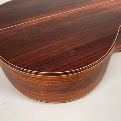 Alhambra Model 5Fp Acoustic Nylon String Guitar w/HSC image 18
