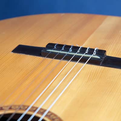 Giannini Craviola AWKNS6 / Nylon String and Bossa Ready! image 21