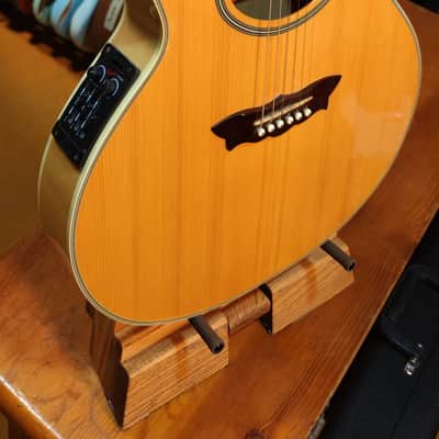 Washburn EA-2000 1999 - Natural image 5