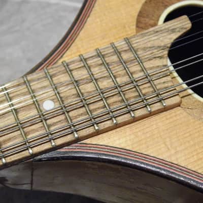 fine vintage solid 8string teardrop MANDOLIN DREIMA Markneukirchen Germany 1950s image 16