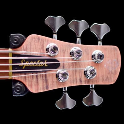 Spector Euro 5 RST 2024 - Roasted Sundown Glow image 7