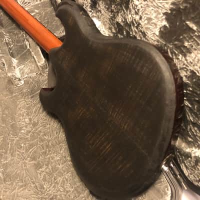 Equator Instruments Languedoc style Hollowbody Guitar image 15