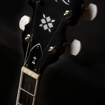 Washburn 5-String Americana B9 Series Resonator Banjo image 4