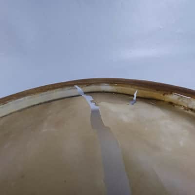 Ludwig 14" Resonant Slunk Calf Skin Snare Drum Tom/Parade/Concert Head 20s US image 9