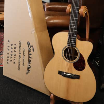 Eastman E1OMCE Special Orchestra with Electronics image 12