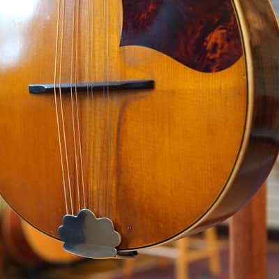 Washburn (Lyon & Healy, Chicago) Style 5281 A-Style Oval Hole Mandolin 1928 w/Hard Case image 13