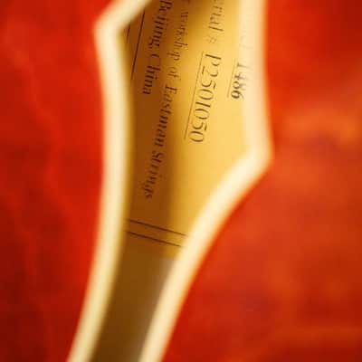 Eastman T486 Thinline Semi-Hollow Electric Guitar - Classic with Hardshell Case image 15