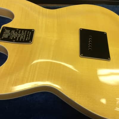 Baldwin Vibraslim w/Burns pickups and tremolo Made In England 1967 image 7