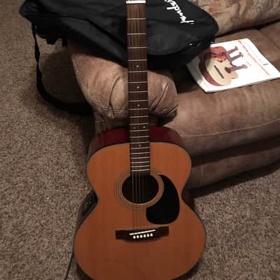 Takamine EG 230 A/E guitar with hardcase Dreadnaught image 2