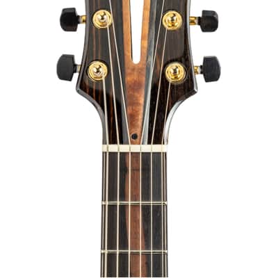 Mirabella Jazz Classic Electric 16” Archtop 2022 - Natural New (Authorized Dealer) image 8