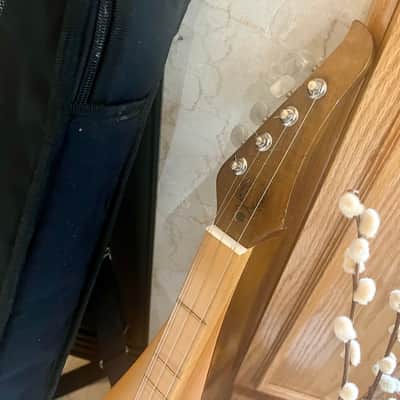 Applecreek Dulcimer - Gig  Bag, Strap, Capo, New Strings image 3