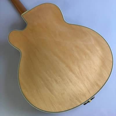 Ibanez PM200 2025 image 5