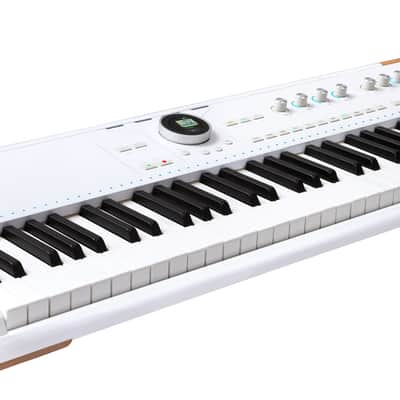Arturia ASTROLAB 61 Key Stage Keyboard w/MIDI DIN I/O/USB+Software+Sustain Pedal image 4