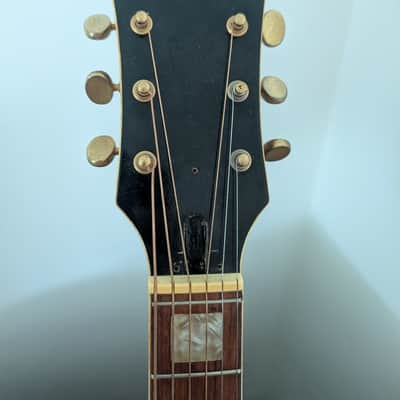 1970s Dorado by Gretsch Model 5968 MIJ Dreadnought Acoustic - Project / Repair image 10