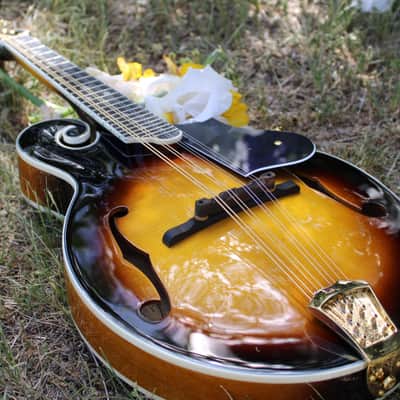 Washburn M3SWK Bluegrass F-Style Mandolin with Hardshell Case- Sunburst image 13