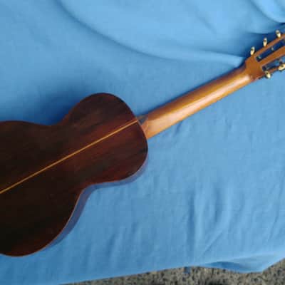all original 1892 Washburn Parlor Adirondack Top Brazilian rosewood image 5