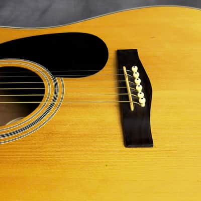 2009 Starcaster by Fender Model 0910104125 Acoustic Guitar image 23