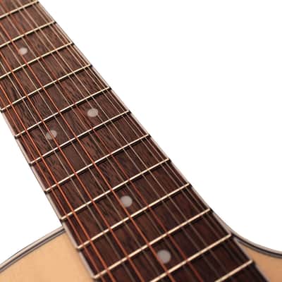 Cort GA-MEDX-12 | 12-String Acoustic / Electric Guitar. New with Full Warranty! image 9