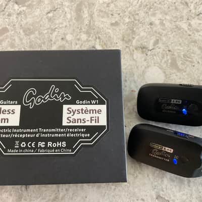 Peavey Joshua Homme Decade Too/Godin Wireless System image 3