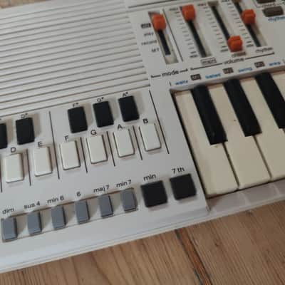 Casio PT-30 31-Key Mini Synthesizer 1980s - White image 2