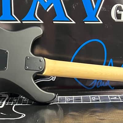 PRS SE Swamp Ash CE 24 Sandblasted 2024 - Sandblasted Green image 9