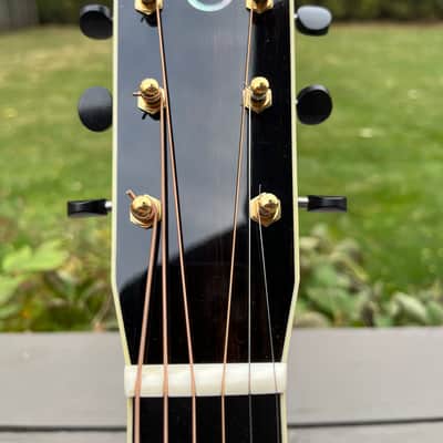 Santa Cruz PJ - Rosewood Back & Sides imagen 2