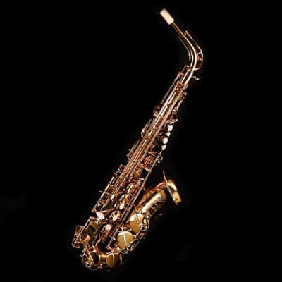 Selmer Paris 82SIGF HSP Professional Alto Saxophone, Vintage Matte image 1