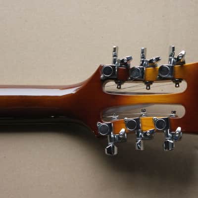 Fishbone FTP-BURG-12- String Electric Solid Body Guitar 2013 Burgundy Burst Make an Offer image 14
