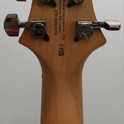 PRS SE Swamp Ash CE 24 Sandblasted 2024 - Sandblasted Red image 7