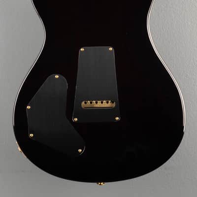 Paul Reed Smith DGT (David Grissom Trem) 10 Top w/Birds - Black Gold Burst image 5