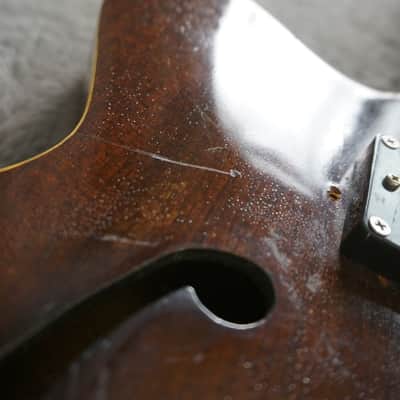 Lero Semi Hollow Body Electric Guitar image 13